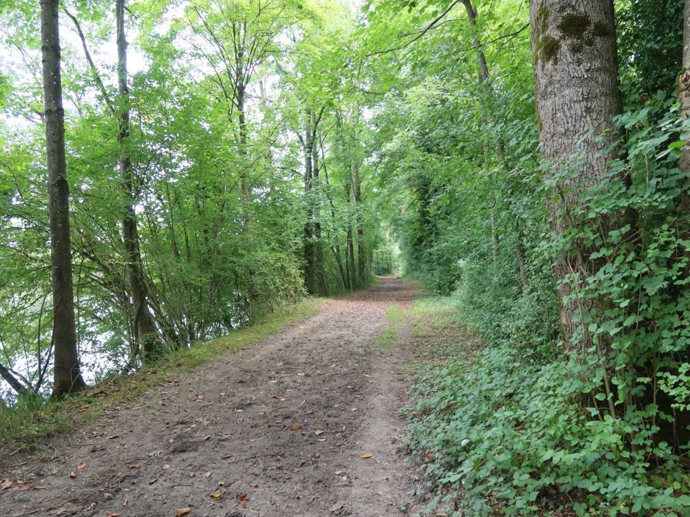 Perlengalopp-Piste