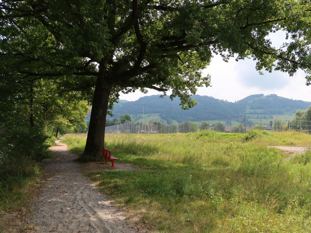 Sitzbank an der Perlengalopp-Piste