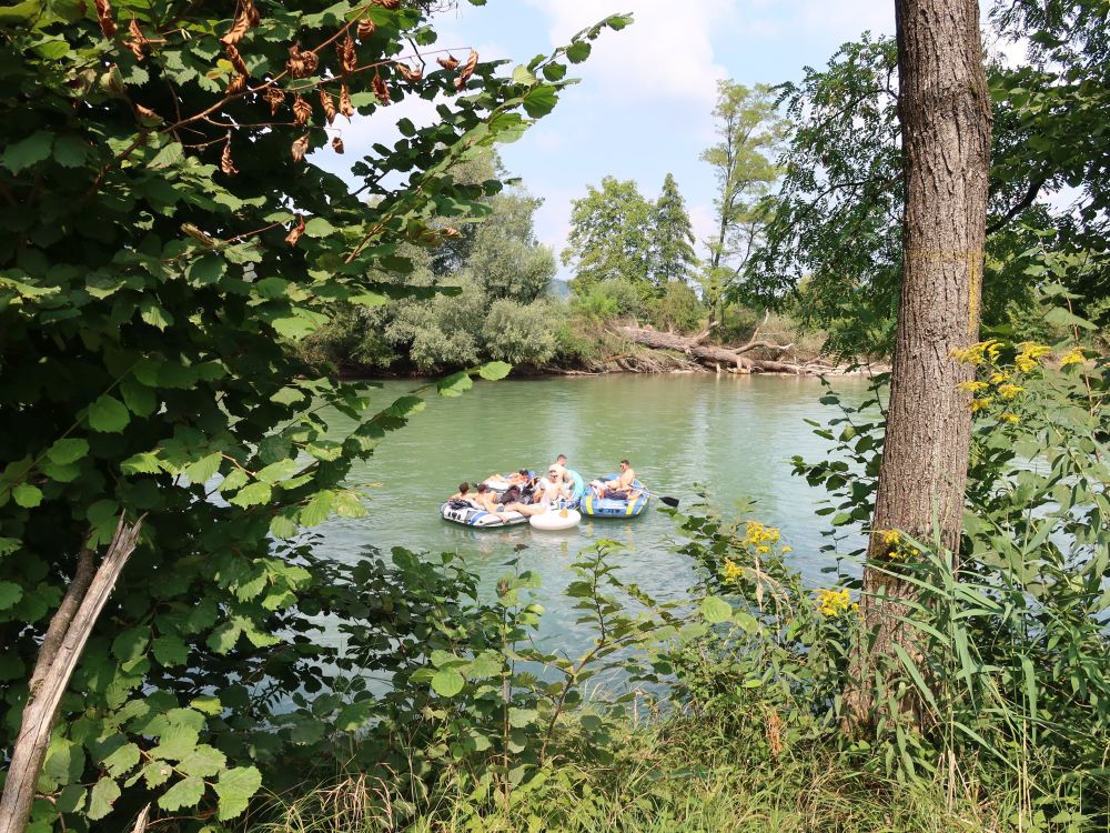 Schlauchboote auf der Reuss
