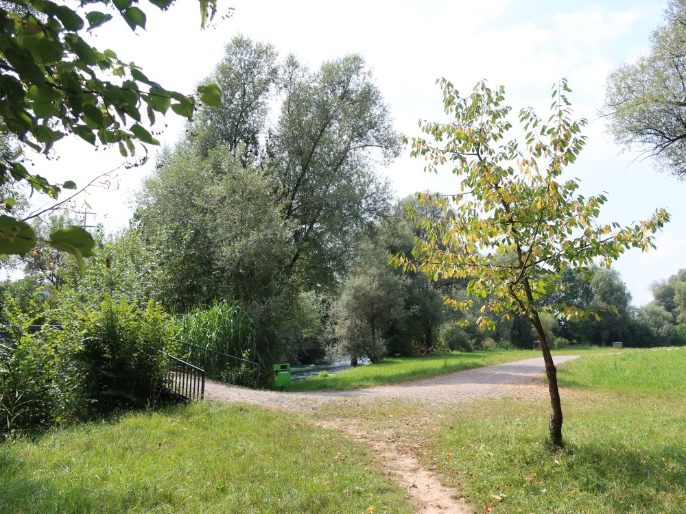 Steg übern Reusskanal