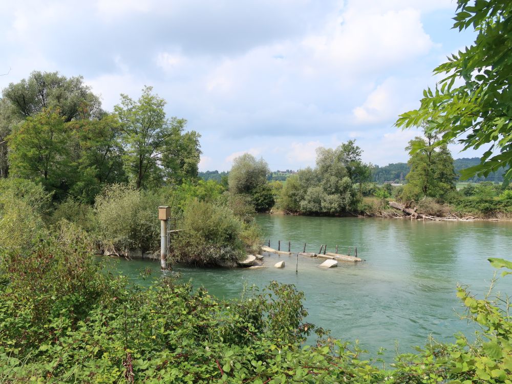 Reusskanalmündung