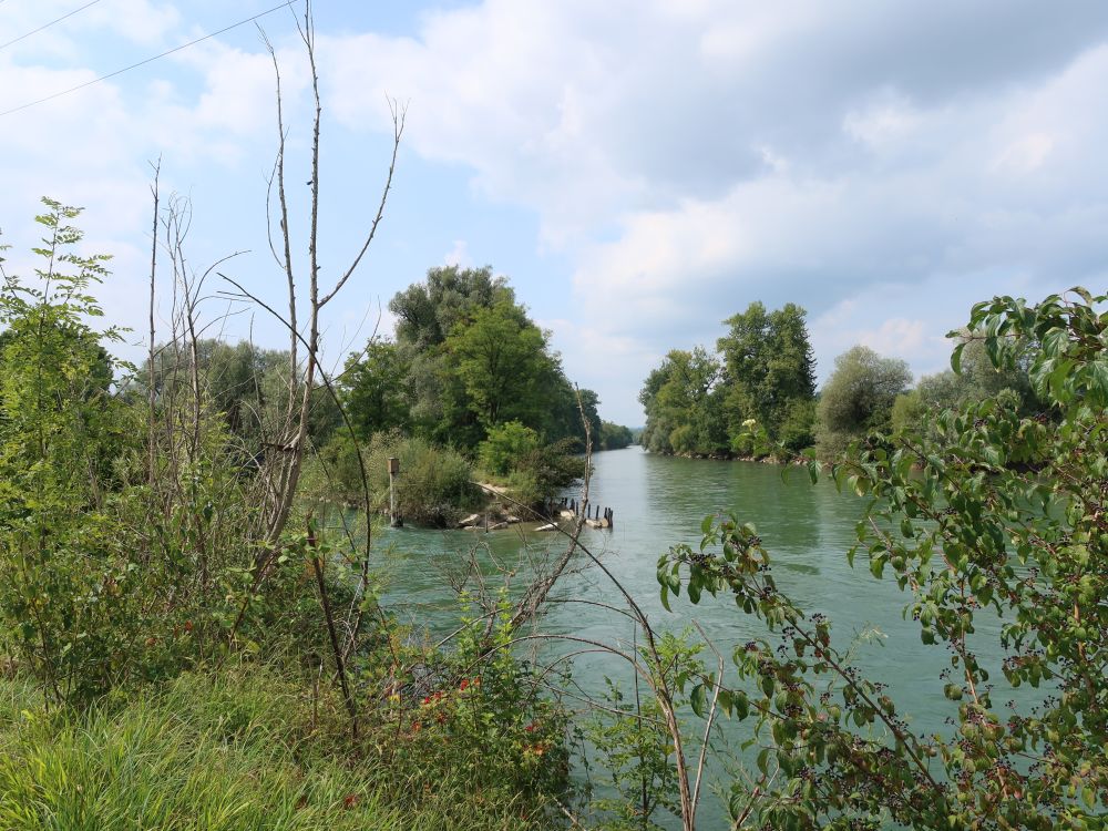 Reusskanalmündung