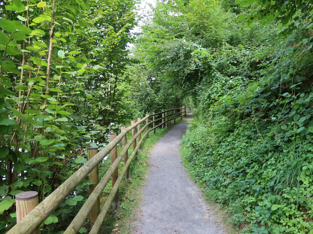 Josef-Roos-Weg