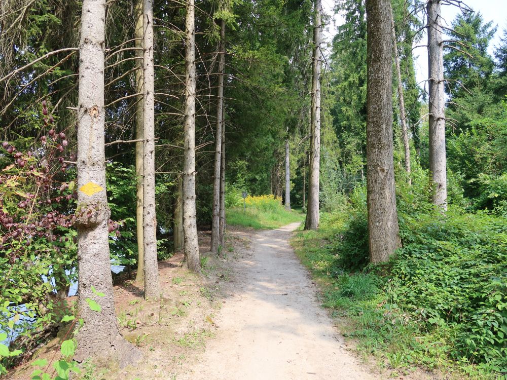 Josef-Roos-Weg