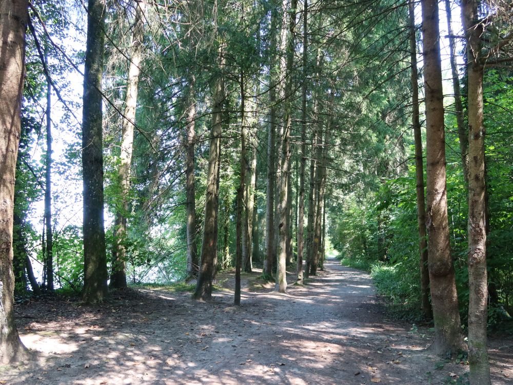 Josef-Roos-Weg
