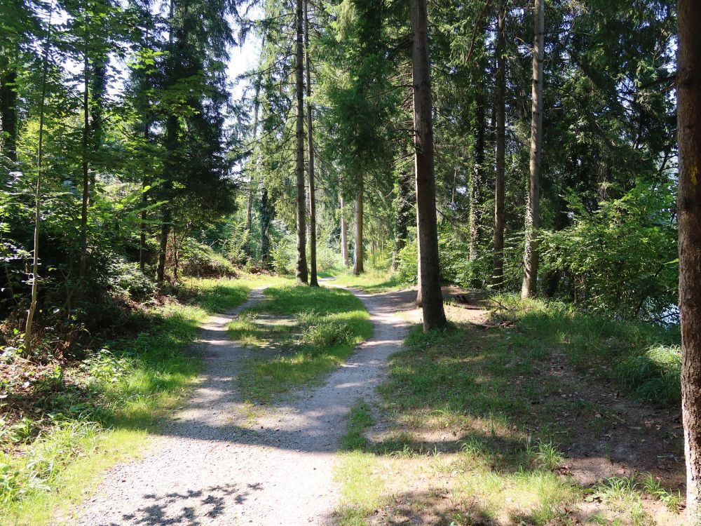 Josef-Roos-Weg