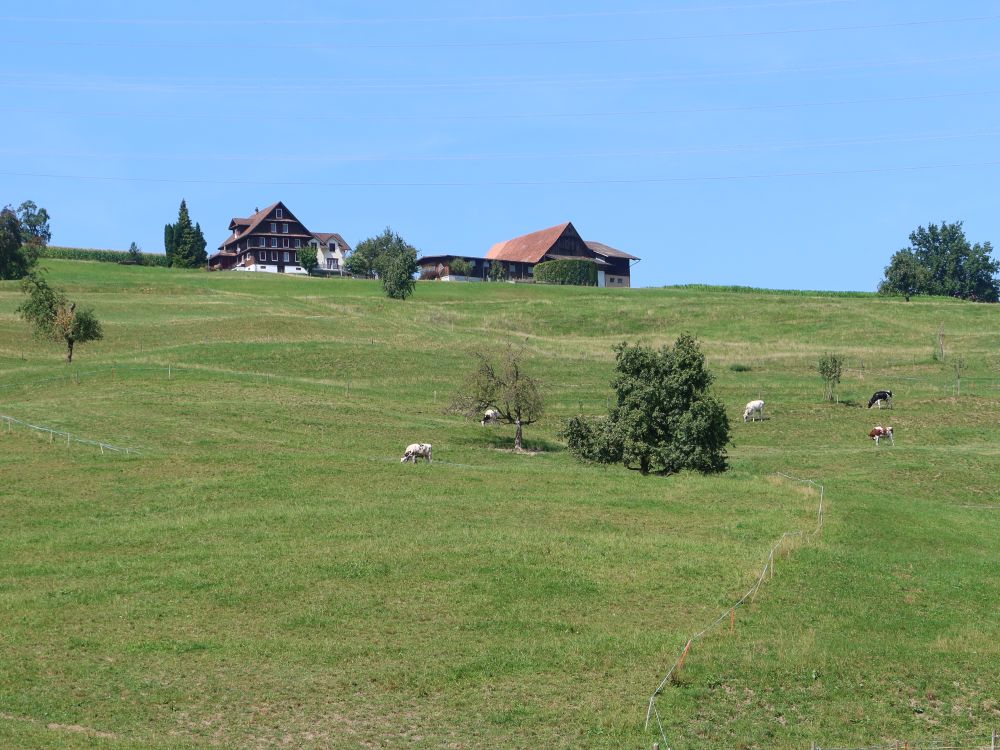 Bauernhof Sprung am Iberg