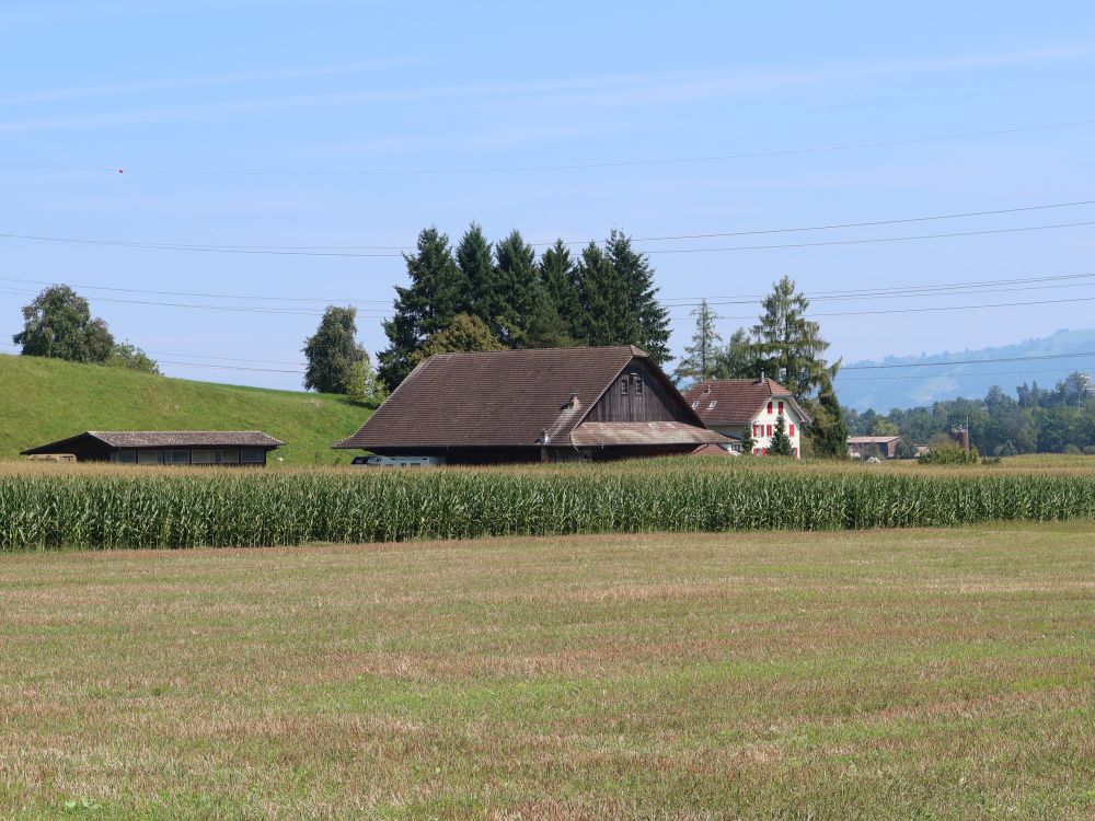 Bauernhof Wannematt