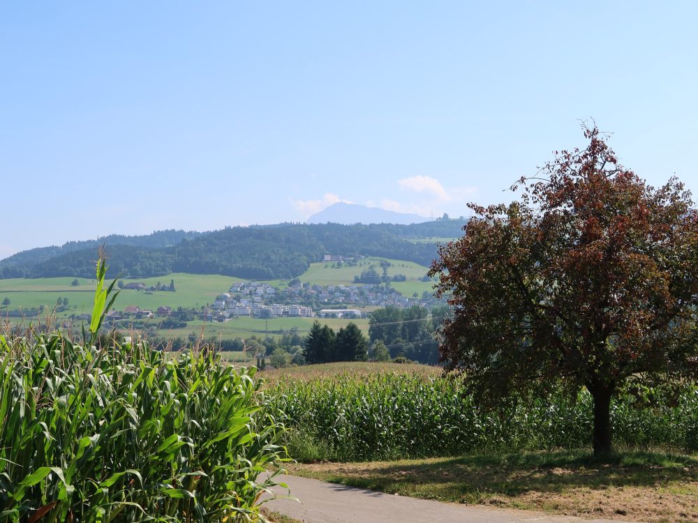 Blick Richtung Rigi