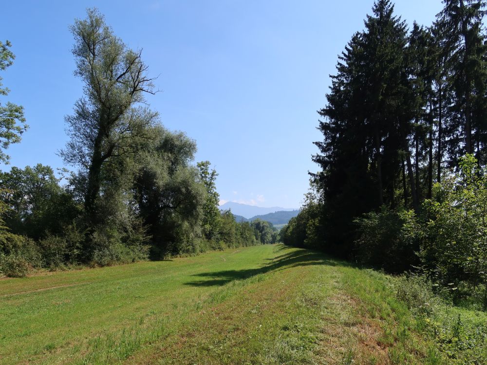 Blick Richtung Rigi