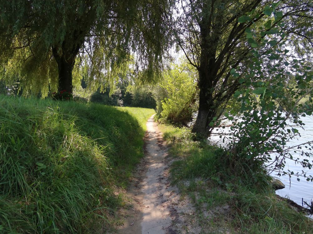 Pfad am Reussufer