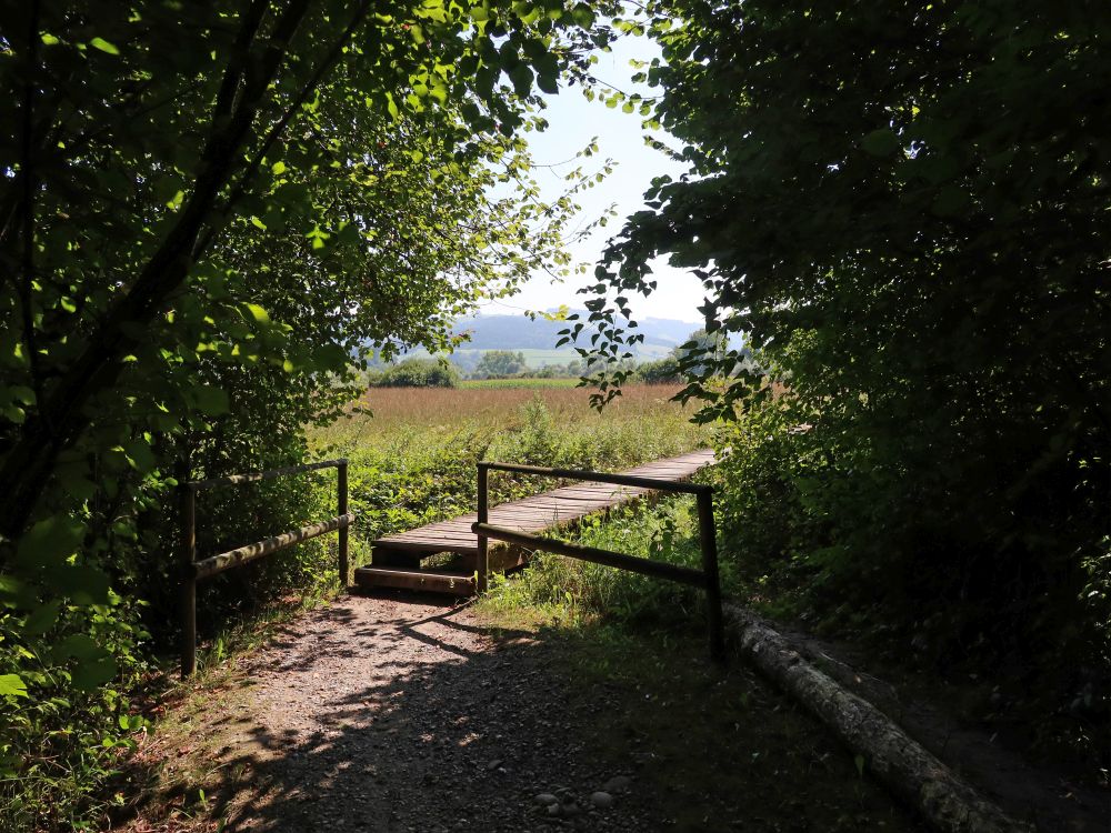 Holzsteg bei Schachenweid