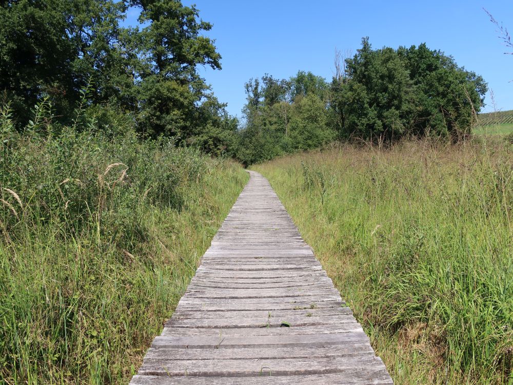 Holzsteg bei Schachenweid