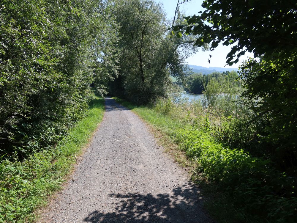 Weg am Reussufer