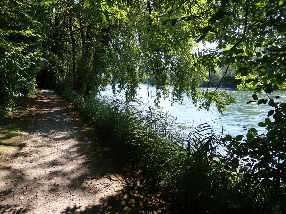 Weg am Reussufer