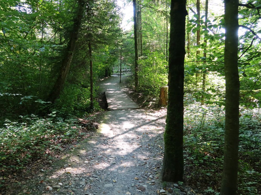 Steg übern Binzmühlebach