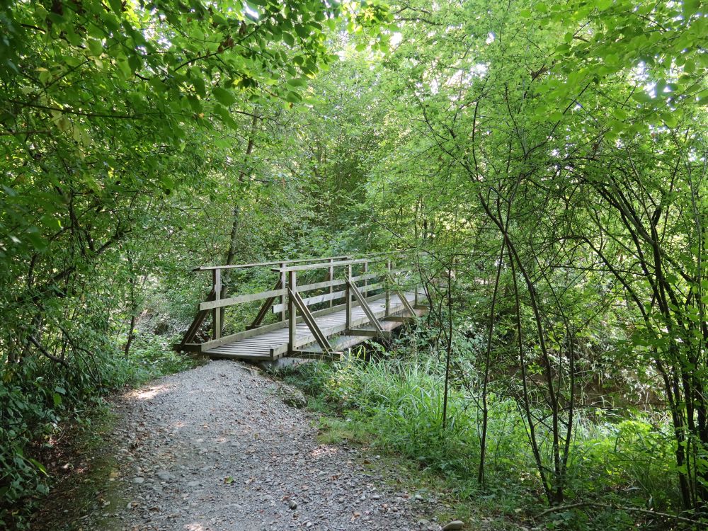 Steg übern Binzmühlebach