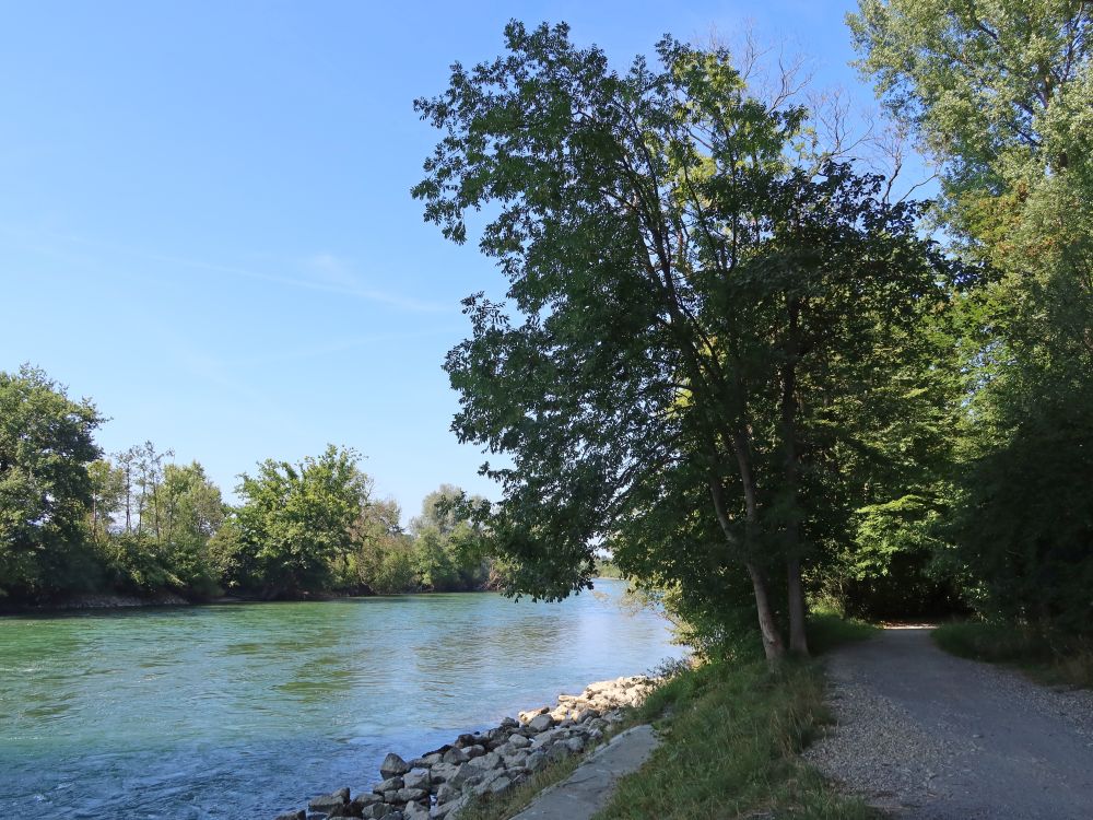 Weg am Reussufer