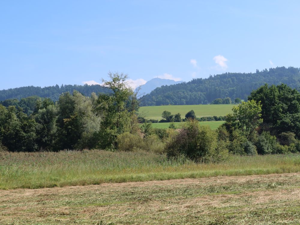 Blick Richtung Rigi