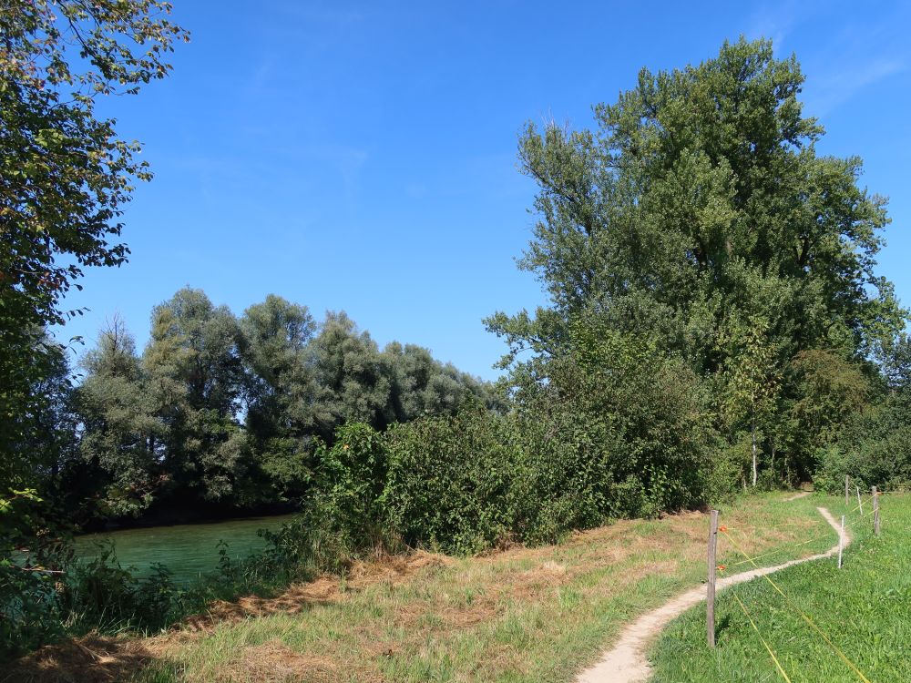 Pfad am Reussufer