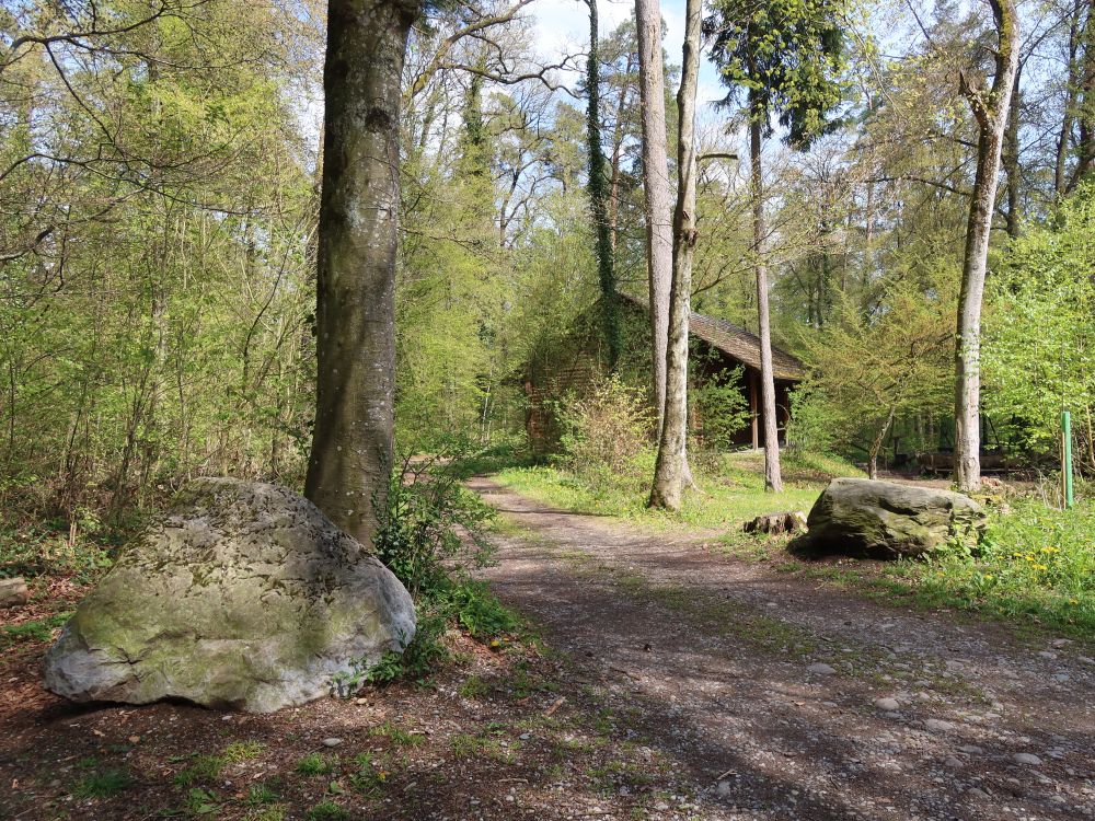 Waldhütte beim Forsthaus Hochfelden