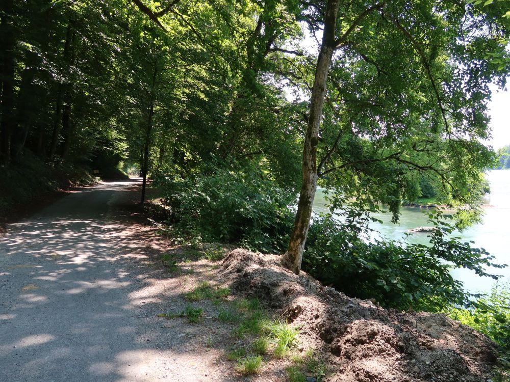 Reussweg