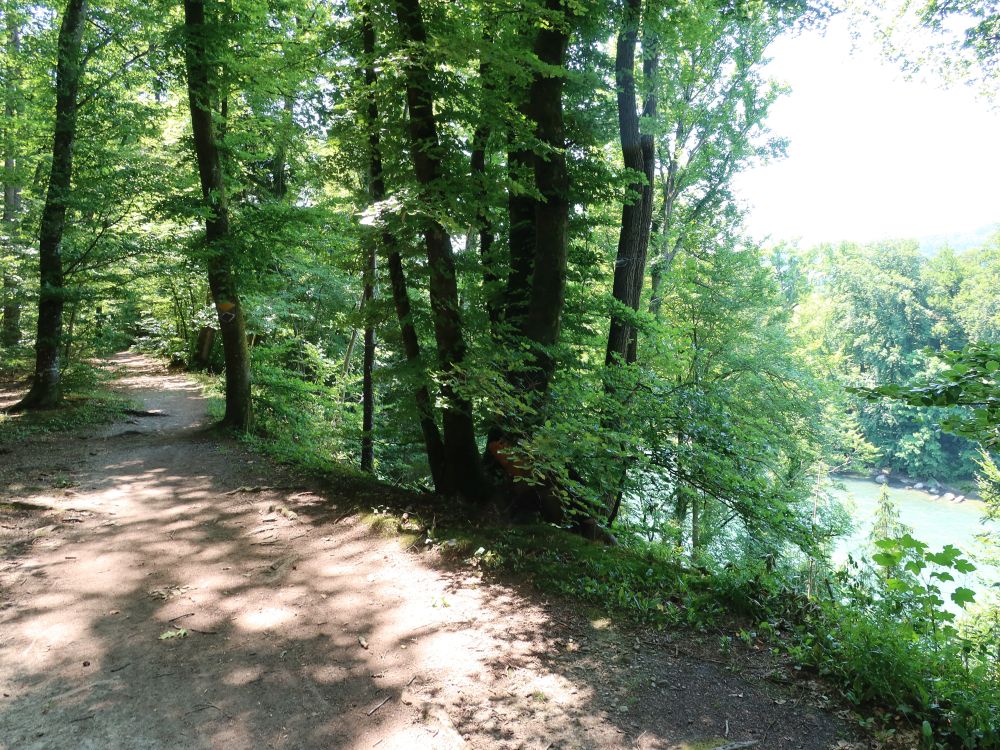 Weg am Reussufer