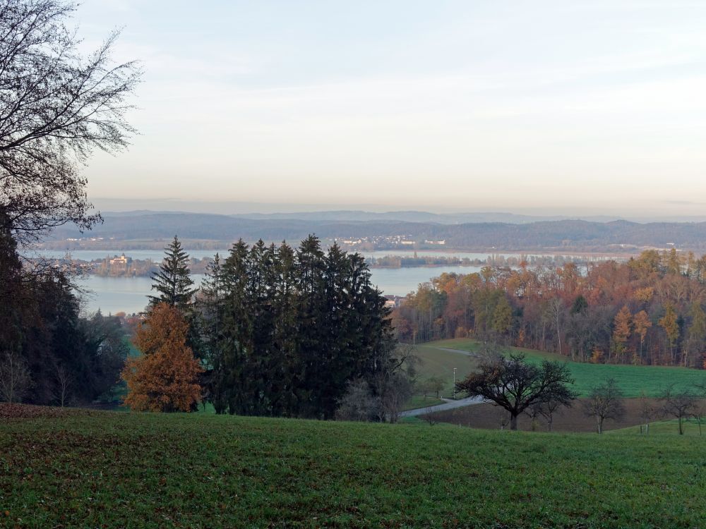 Blick auf Bodensee mit Reichenau