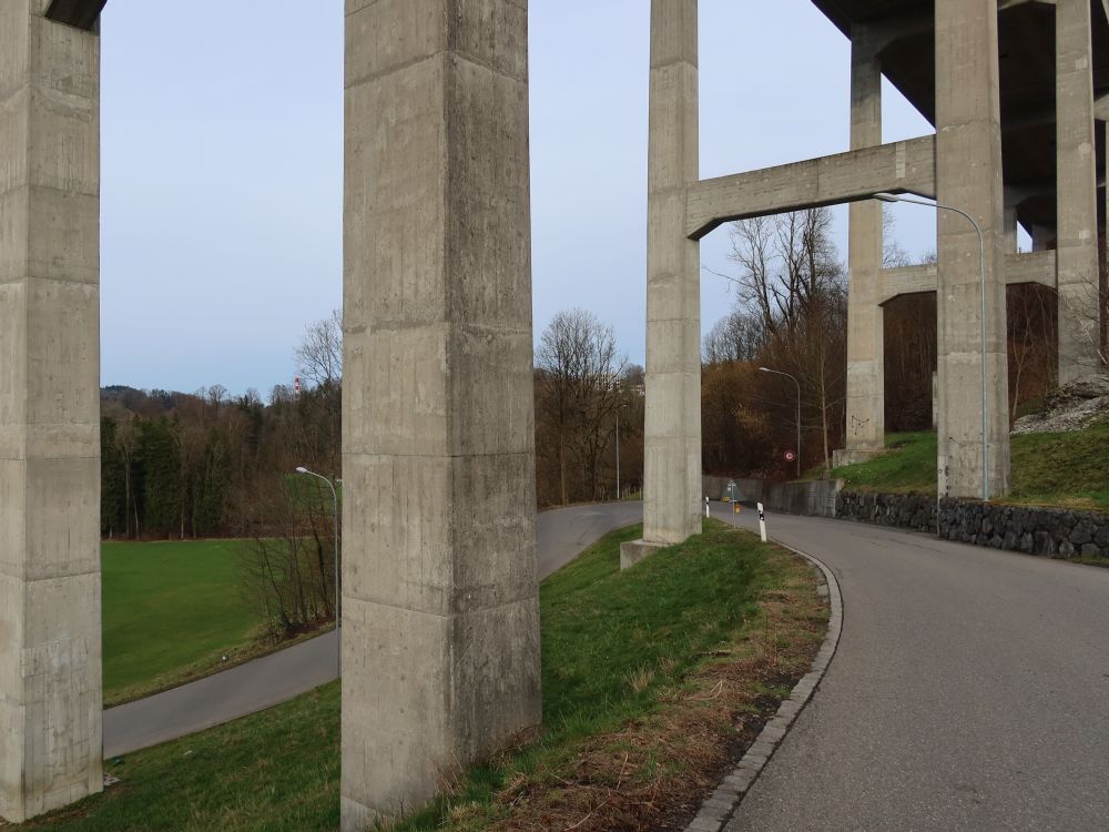 Pfeiler Fürstenlandbrücke