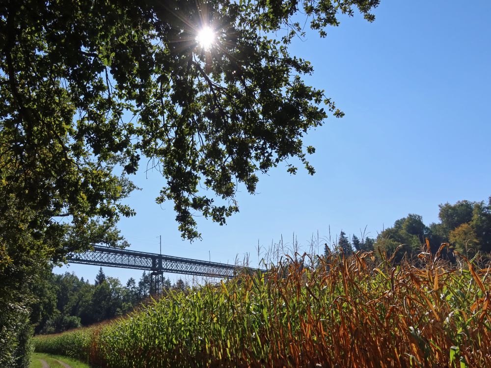 Thurbrücke Ossingen