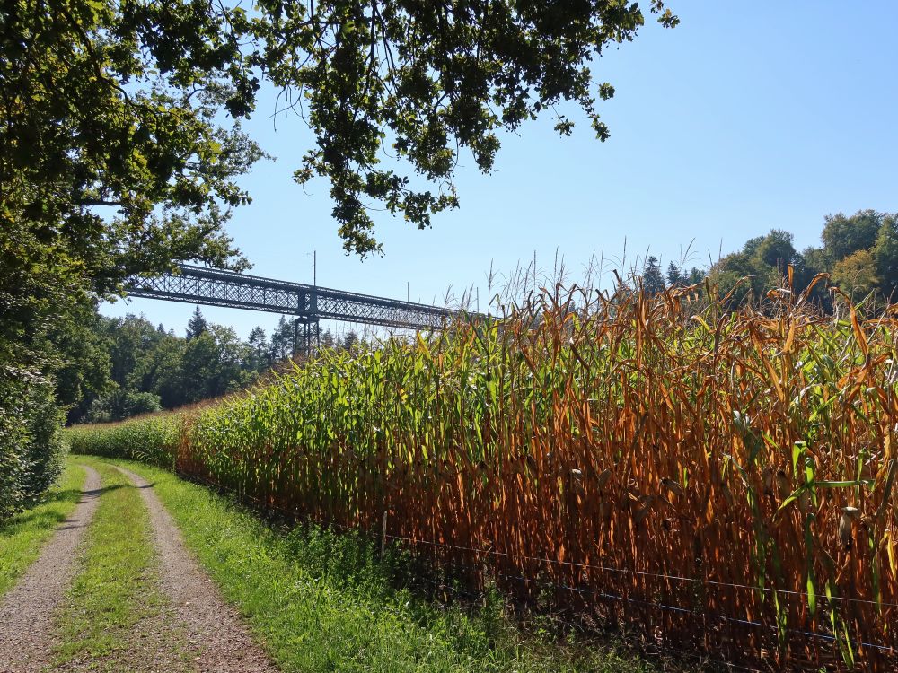 Thurbrücke Ossingen