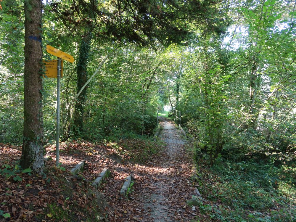 Wanderwegweiser am Hostbach