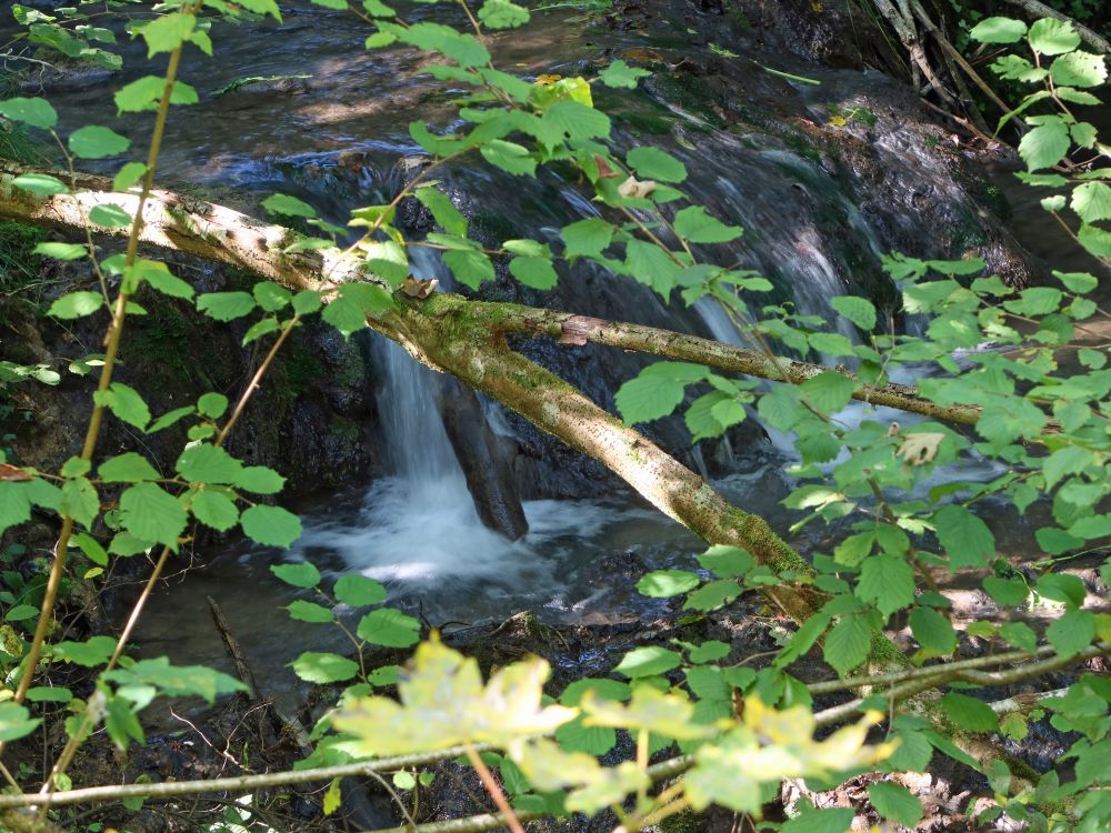 Wasserfall am Hostbach