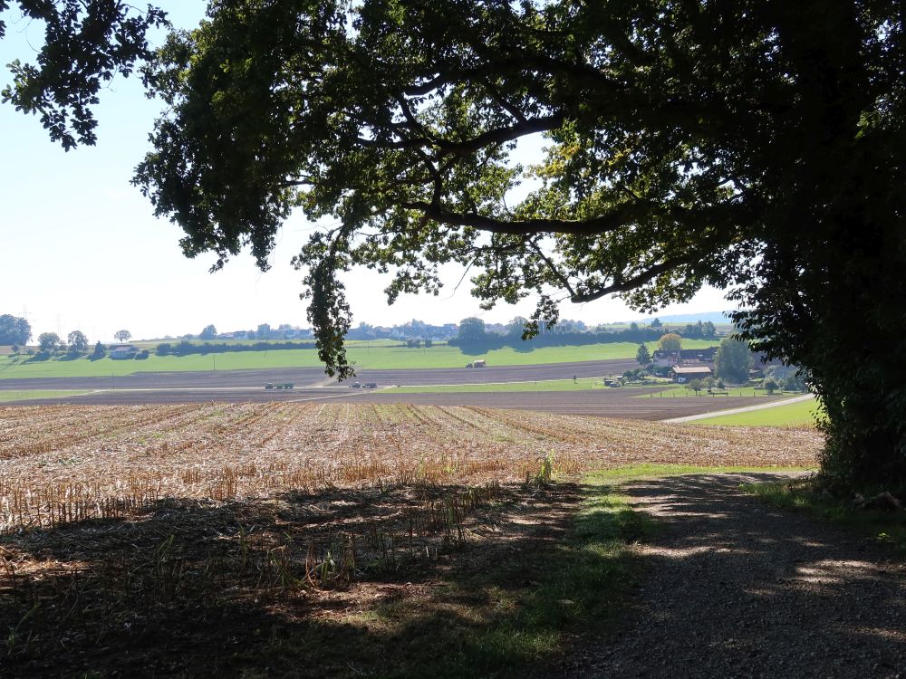 Blick Richtung Niederwil