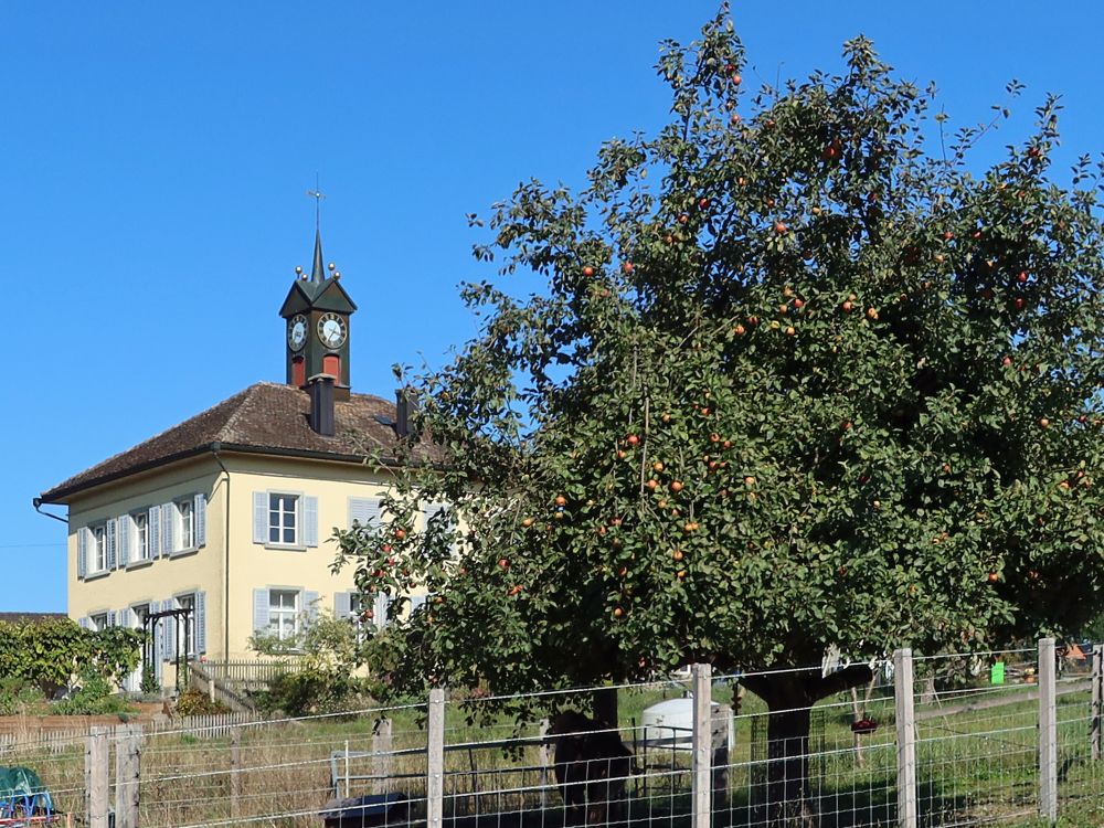 Haus in Gütighausen