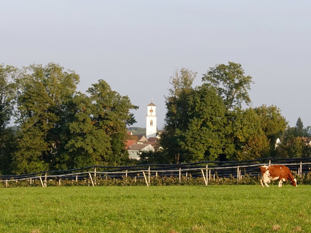 Kirchturm von Güttingen