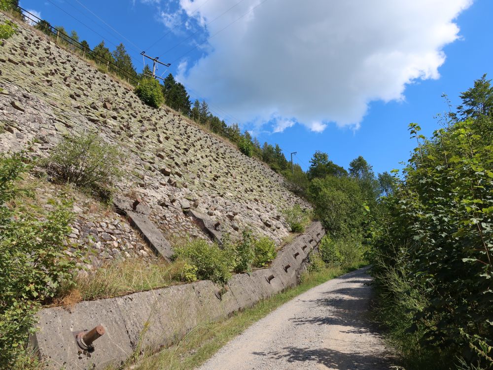 Weg unterhalb der Höllentalbahn