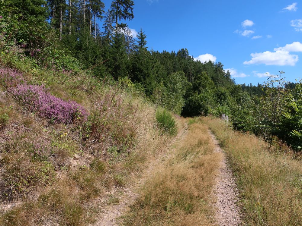 Weg oberhalb der Höllentalbahn