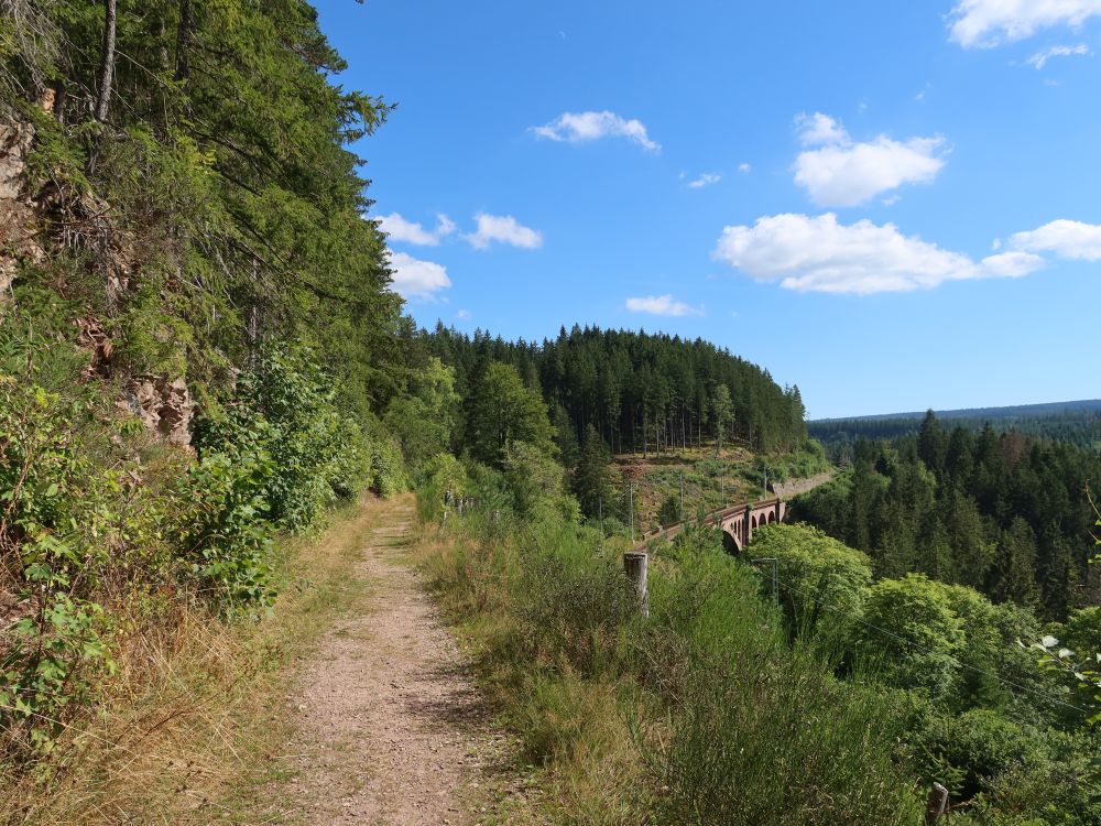 Blick zur Eisenbahnbrücke