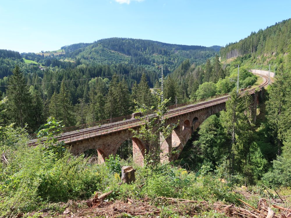 Schwendeholzdobelbrücke