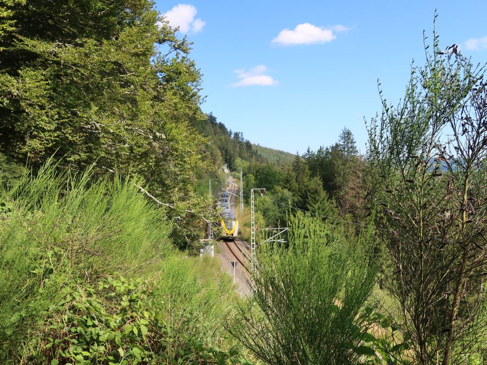 Hintere Höllentalbahn