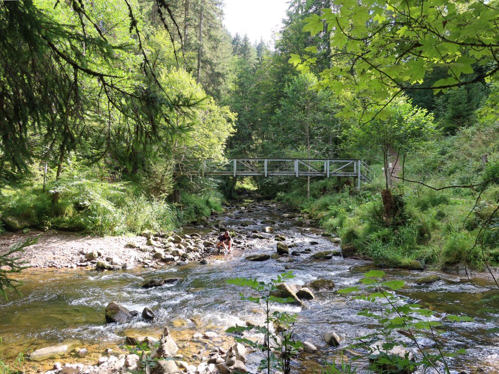 Steg über die Haslach