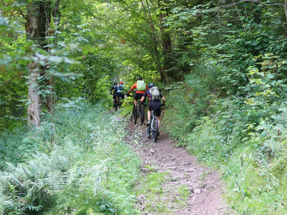 Biker oberhalb der Haslach