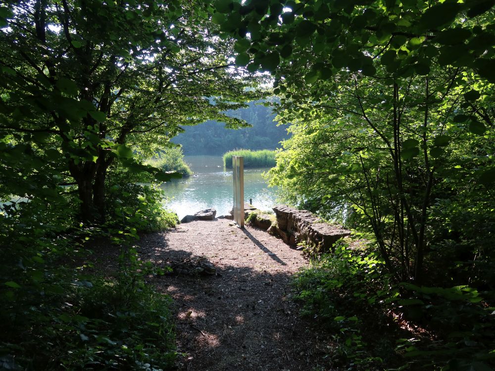 Aare