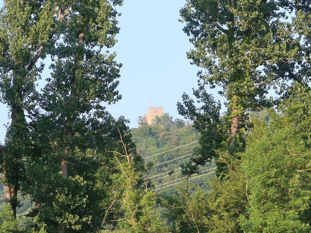 Habsburg