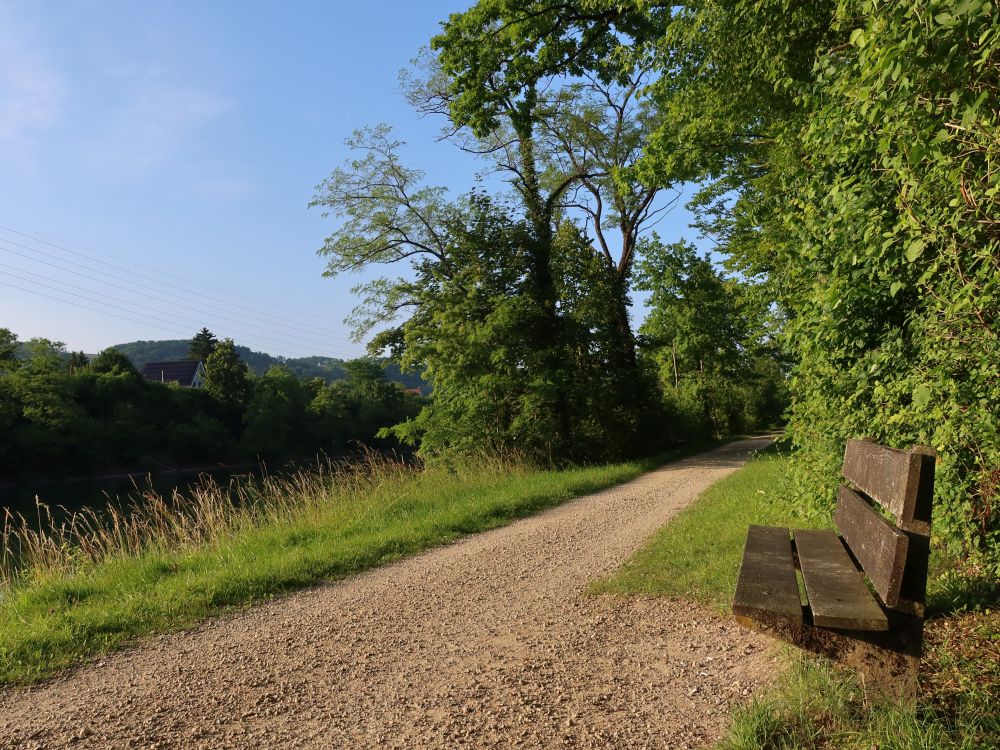 Sitzbank am Aareufer