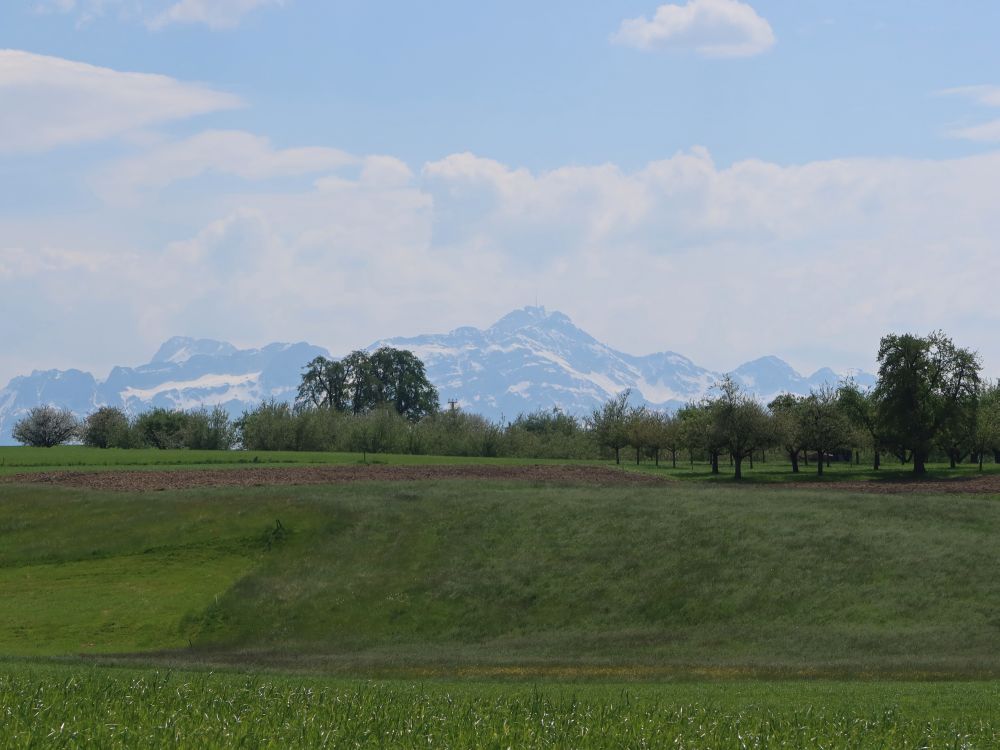 Säntis im Dunst