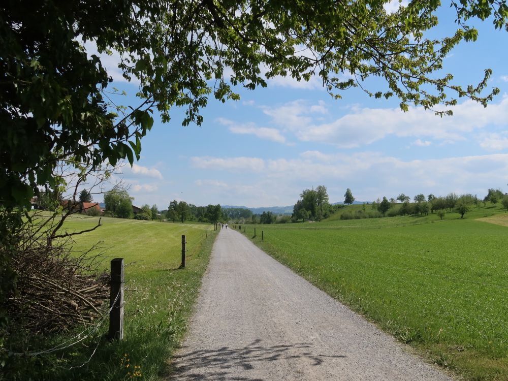 Weg nach Zwingensteinhub