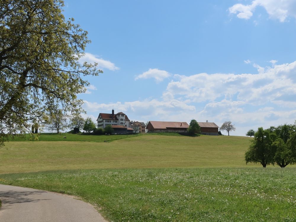 Schloss Dottenwil