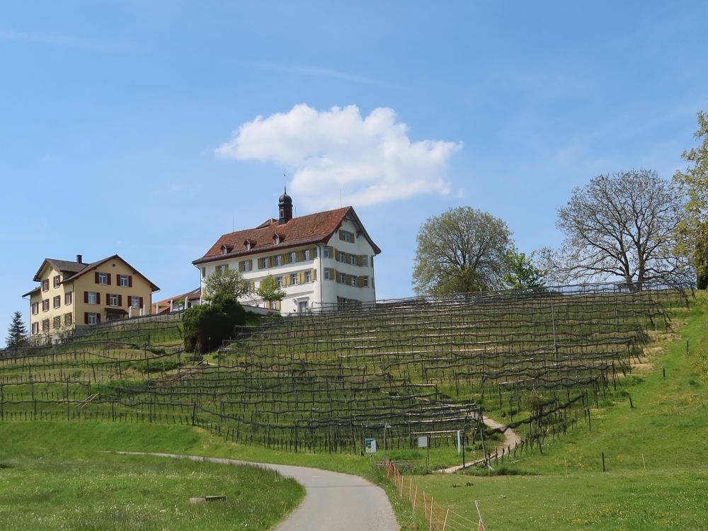 Schloss Dottenwil